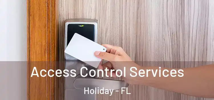 Access Control Services Holiday - FL