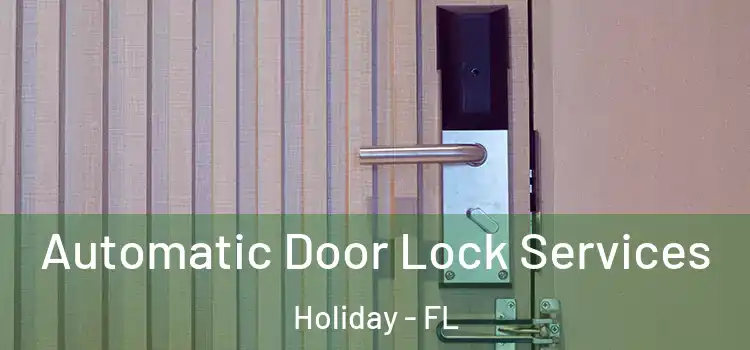 Automatic Door Lock Services Holiday - FL