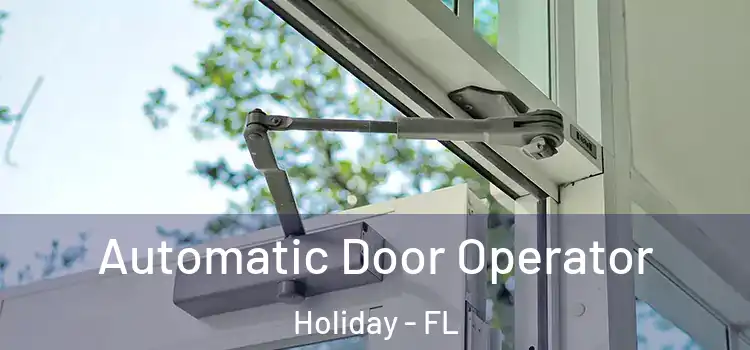 Automatic Door Operator Holiday - FL
