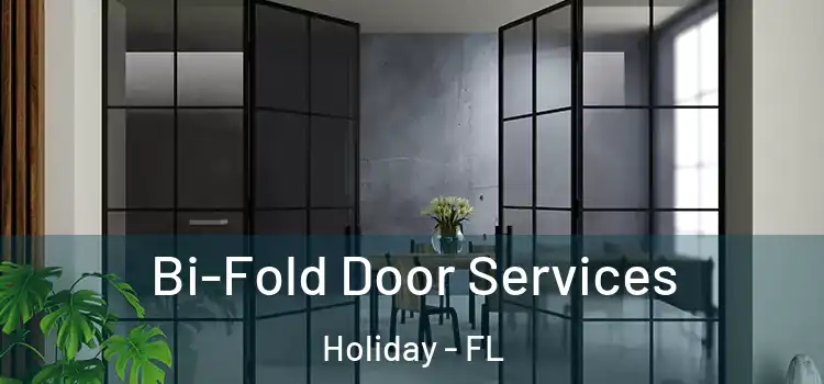 Bi-Fold Door Services Holiday - FL