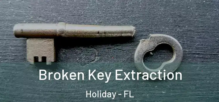 Broken Key Extraction Holiday - FL