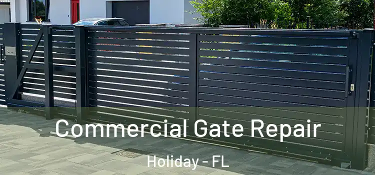 Commercial Gate Repair Holiday - FL