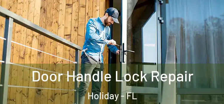 Door Handle Lock Repair Holiday - FL