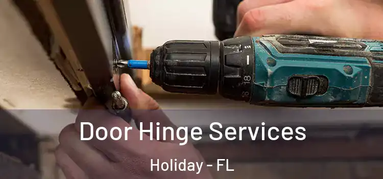Door Hinge Services Holiday - FL