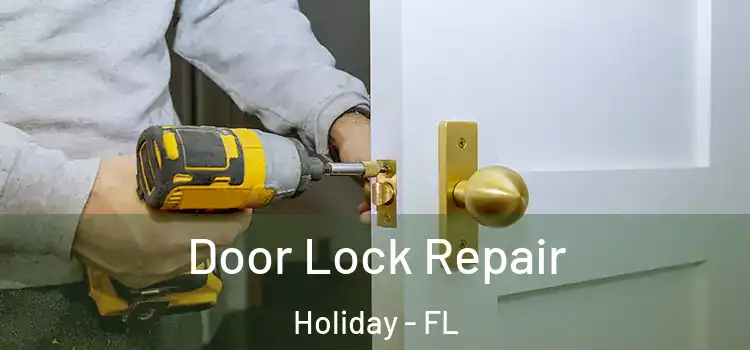 Door Lock Repair Holiday - FL