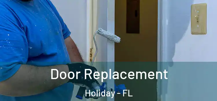 Door Replacement Holiday - FL