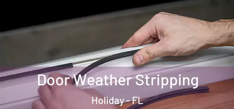 Door Weather Stripping Holiday - FL