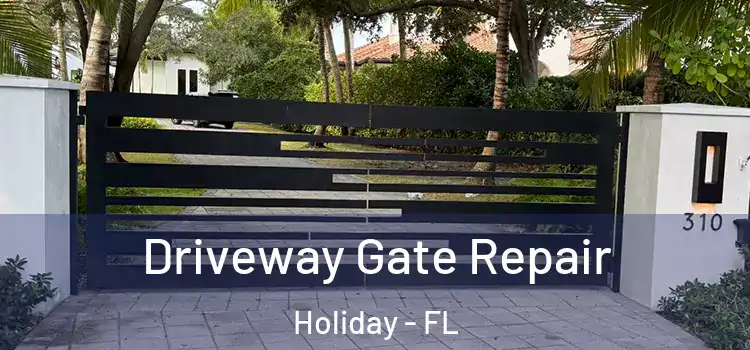 Driveway Gate Repair Holiday - FL
