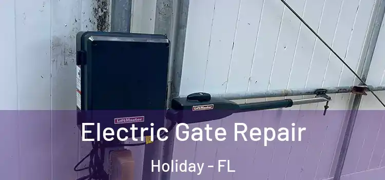 Electric Gate Repair Holiday - FL