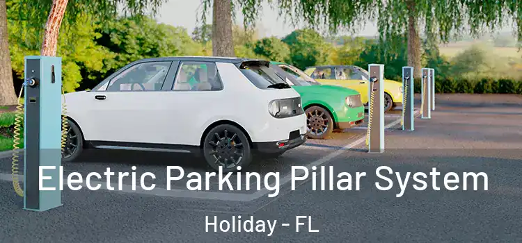 Electric Parking Pillar System Holiday - FL