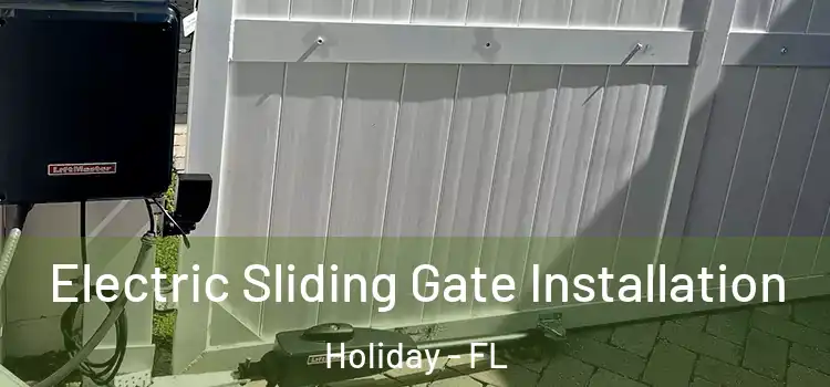 Electric Sliding Gate Installation Holiday - FL