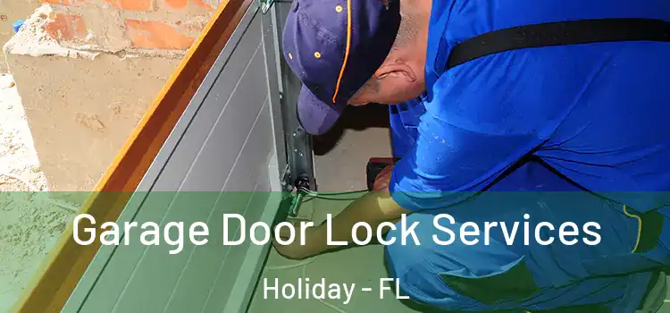 Garage Door Lock Services Holiday - FL