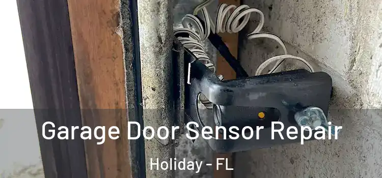 Garage Door Sensor Repair Holiday - FL