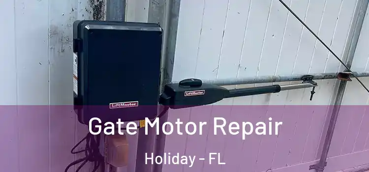 Gate Motor Repair Holiday - FL