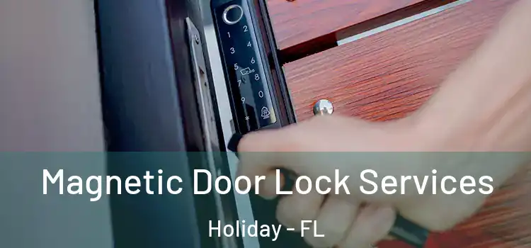 Magnetic Door Lock Services Holiday - FL