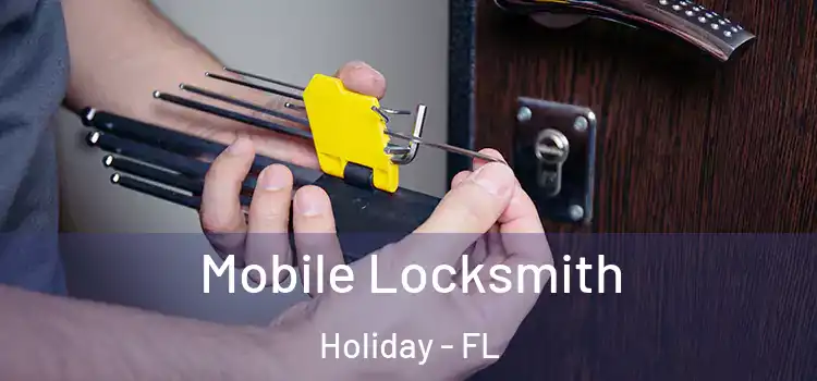 Mobile Locksmith Holiday - FL