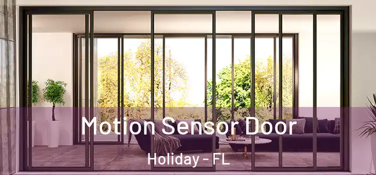 Motion Sensor Door Holiday - FL