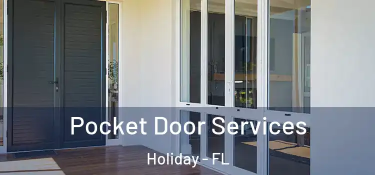 Pocket Door Services Holiday - FL