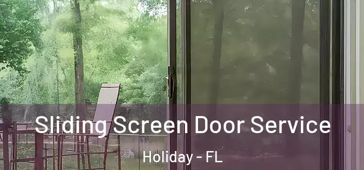Sliding Screen Door Service Holiday - FL