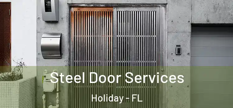 Steel Door Services Holiday - FL