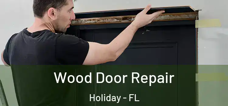 Wood Door Repair Holiday - FL